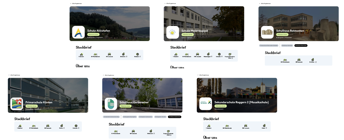 Beispiele für Schulprofile